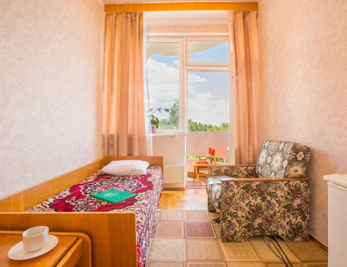 Эконом 1-местный с кондиционером (корп.5) - Санаторий «Алушта»